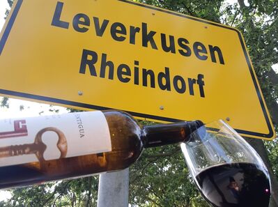 Rheindorf, ein Weindorf ?